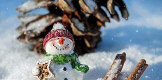 Jak się nazywa męska czapka z daszkiem?