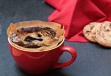 Jak wyczyścić filtr w akwarium? Jak wyczyścić filtr w akwarium?