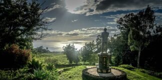 Gdzie produkują cukierki ROSHEN?