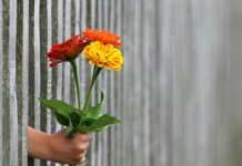 Ile kosztuje metr najtańszego ogrodzenia? Ile kosztuje metr najtańszego ogrodzenia?