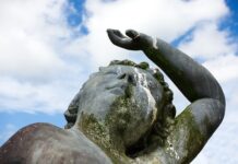 Co zrobić z odchodami w akwarium? Co zrobić z odchodami w akwarium?