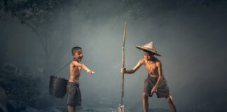 Czym można się zarazić od ryb?