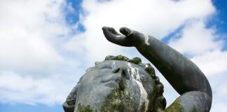 Jak pozbyć się odchodów ryb z akwarium?