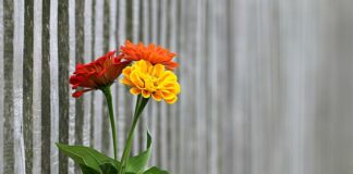 Ile kosztuje ogrodzenie działki 2023? Ile kosztuje ogrodzenie działki 2023?