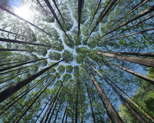 Z czego zrobiony jest daszek w czapce? Z czego zrobiony jest daszek w czapce?