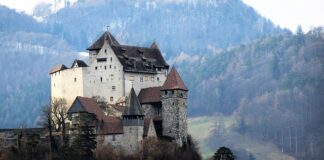 Co posadzić na skarpie przy stawie?