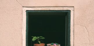 Kiedy najlepiej podlewać ogród rano czy wieczorem?
