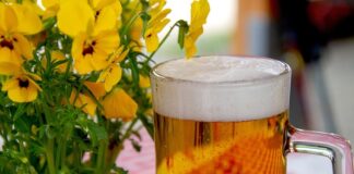 Jak założyć ogródek warzywny?