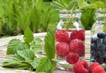 Co jest lepsze saletra czy mocznik?