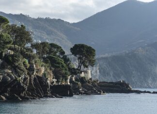 Ile kosztuje 1000 litrów wody? Ile kosztuje 1000 litrów wody?