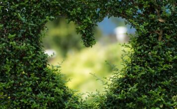 Co do ogrodu narzędzia?