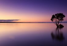 Ile wody na podlanie ogrodu?