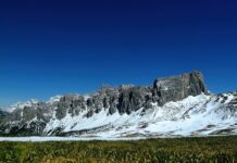 Jaki nawóz ma dużo fosforu i potasu?