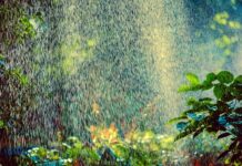 Ile zraszaczy na linie?