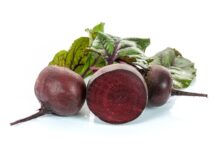Co zalicza się do nawozów organicznych? Co zalicza się do nawozów organicznych?